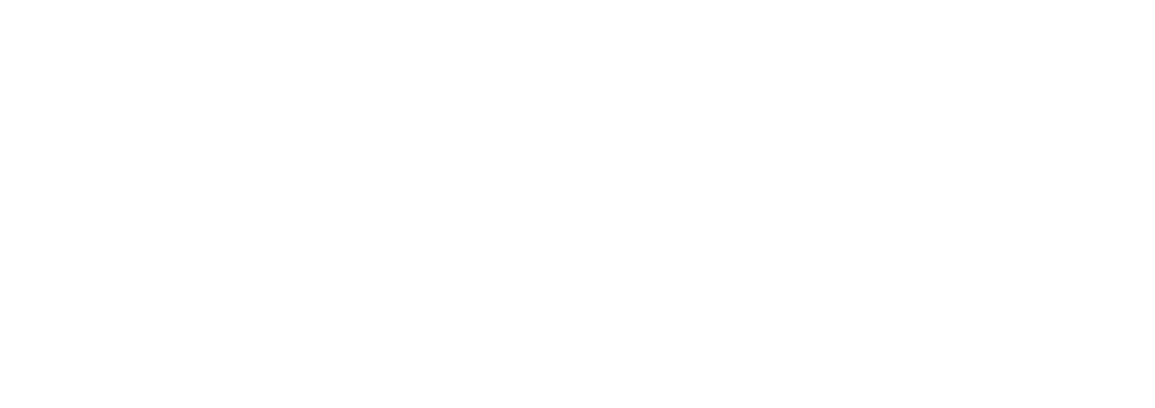 Standard Bariatrics Logo